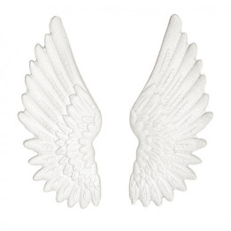 copy of 
